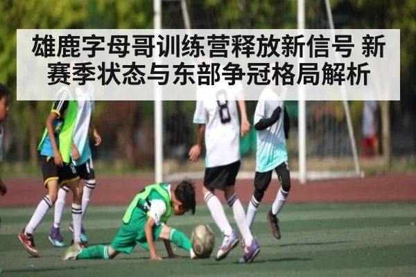 雄鹿字母哥训练营释放新信号 新赛季状态与东部争冠格局解析
