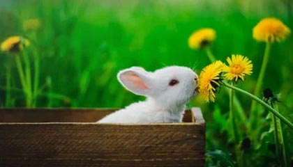 开云-中国U23男足挺进决赛，京沪深蓉穗球迷订影音房热度高涨